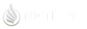 NETFLY